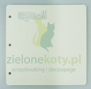 Karty do segregatora na stemple Nellie's 10 szt.