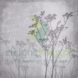 Serwetka 33x33cm zioła, mgła (13311168)