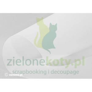Pergamin kalka 110g A4 / 5szt