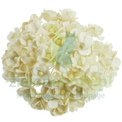 Kwiatki W.O.C. sweetheart miniaturowe zestaw 50szt kremowe