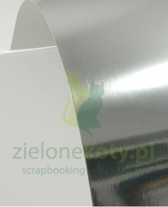 oaoier lustrzany srebrny.png