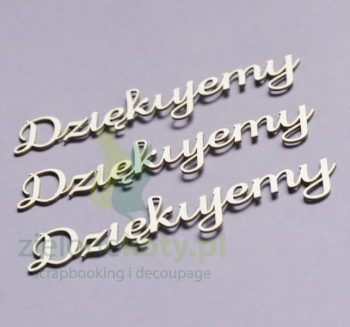 dziękujemy.jpg