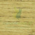 penta-lazur-zel-100ml-daxb.jpg