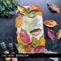 665559 Sizzix Tim Holt Leaf Fragments.jpg