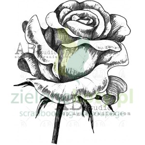 Stempel gumowy AB Studio róża 5cm duża