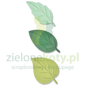 Wykrojnik + folder do embossingu Sizzix Switchlits Spring leaves listki