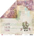 cps-to30-zestaw-papierow-30-5_34580.jpg
