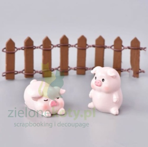 q2.jpg