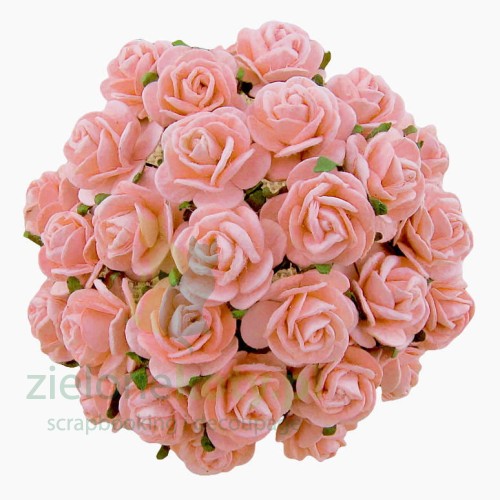 eng_pl_25-PALE-PINK-MULBERRY-PAPER-OPEN-ROSES-25-MM-134932_2.jpg