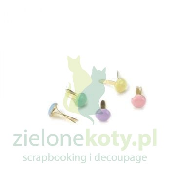 ćwieki pastel 1.jpg