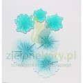 srodki-do-kwiatkow-5.jpg