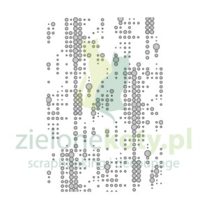 Folder do embbosingu Sizzix Tim Holtz Dotted kropki mixedmedia tło