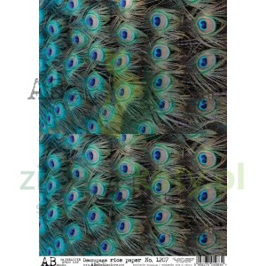 Papier ryżowy decoupage  AB Studio A4 pawie pióra tło