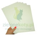 p19033-tektura-beermat-pankadisc-155mm-630g-pak-20a4 (1).jpg