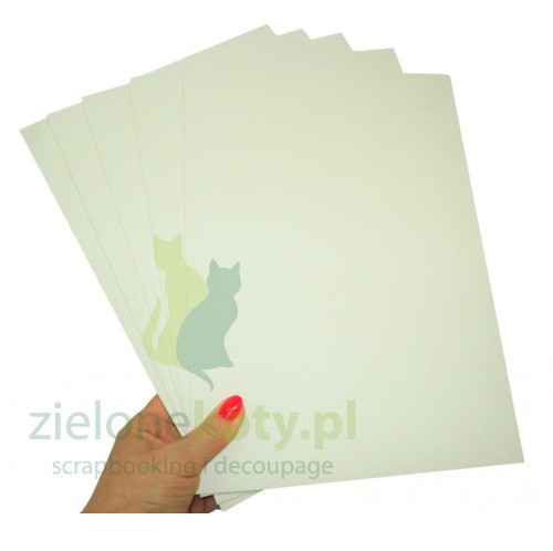 p19033-tektura-beermat-pankadisc-155mm-630g-pak-20a4 (1).jpg