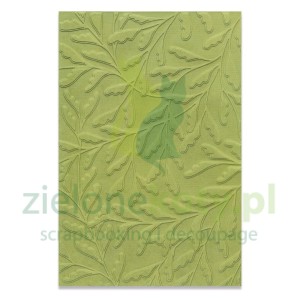 Folder do embossingu Sizzix Delicate Leaves gałązki tło