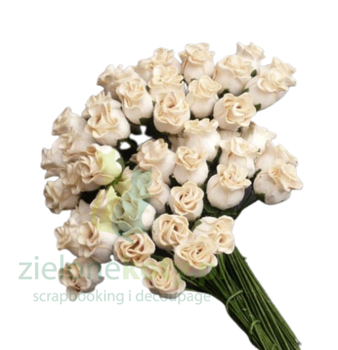 pączki_róż (9).png