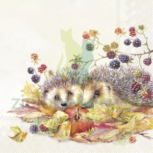 Serwetka 25x25cm jeże (C1015360)