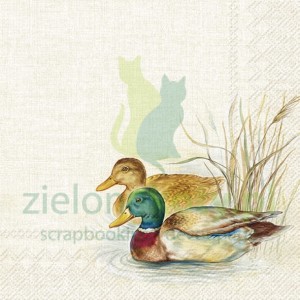 Serwetka 33x33cm kaczki (L1011960)