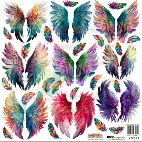 wings1.jpg