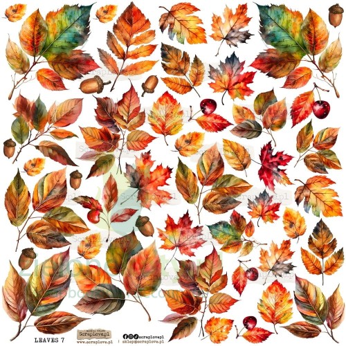 leaves-7p.jpg