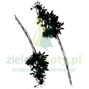 Stempel akrylowy Studio Light Natures Dream Wild Meadow łaka