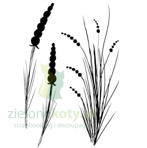 studio-light-natures-dream-clear-stamp-nature-trai (1).jpg