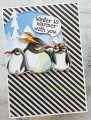 oddball-penguin-trio-GINGER.jpg