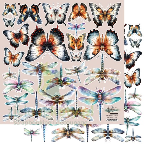 AA-INSECTS-01.jpg
