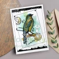 woodware-grungy-borders-clear-stamps-frs1038 (1).webp