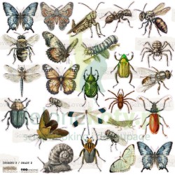Naklejki papierowe ScrapLove Insects 2 owady