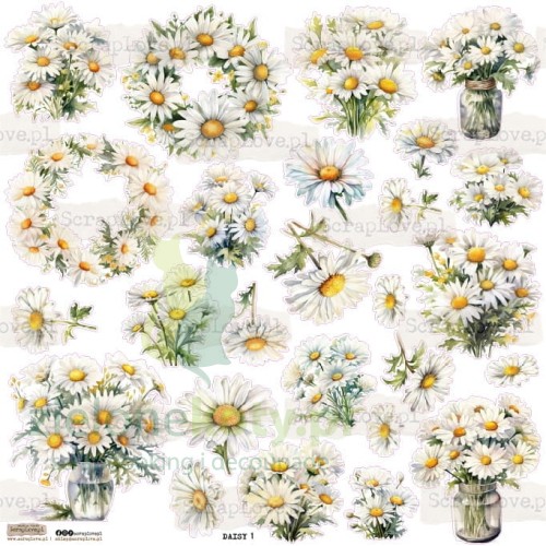 DAISY-1.jpg