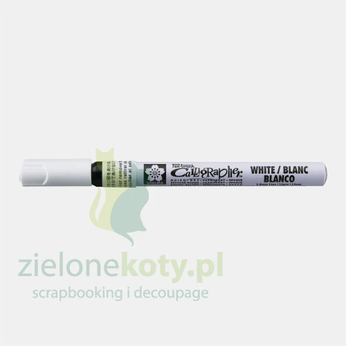 xpskc50_02_e058.webp