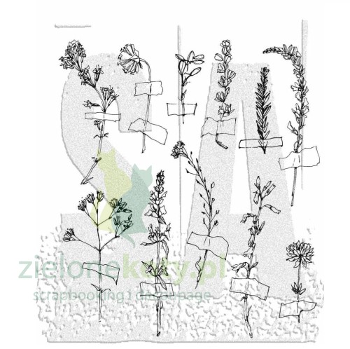 stampers-anonymous-forgotten-garden-tim-holtz-clin.jpg