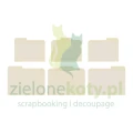 a2.webp