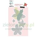 creative-craftlab-poinsettia-essentials-cutting-di.jpg