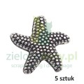 zawieszka rozgwiazda1.jpg