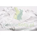 Amsterdam Modeling Paste.webp