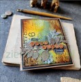 STEMPLE TIM HOLTZ.jpg