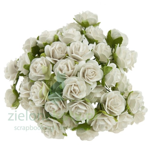 open rose białe.jpg