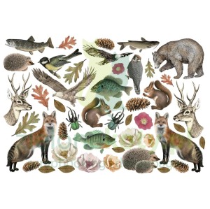 Dodatki papierowe die-cuts Stamperia Ephemera  Forest samoprzylepne