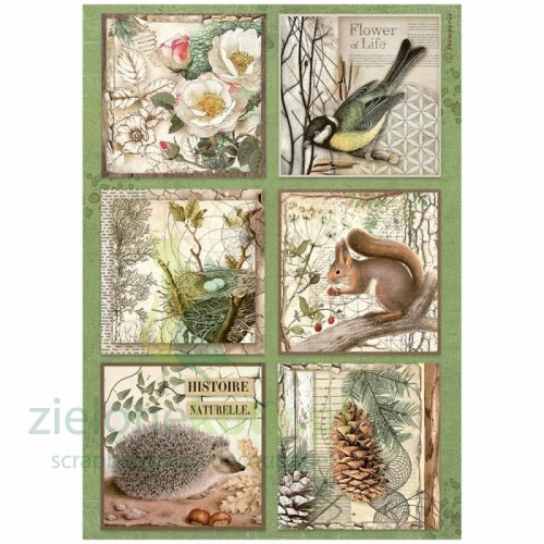 stamperia-papier-ryzowy-a4-forest-6-kart-zwierzaki.jpg
