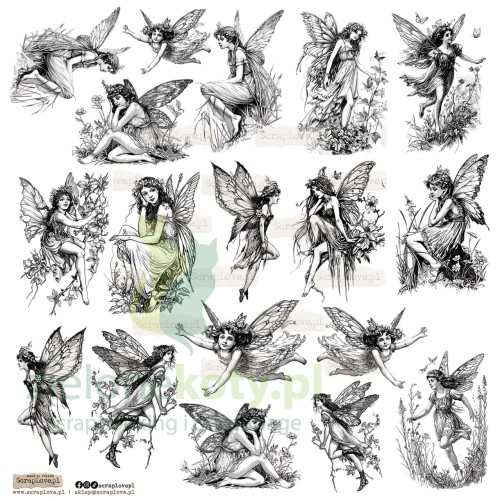 black--fairy-small-v-Duzy.jpg