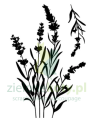 studio-light-lavender-essentials-clear-stamp-sl-es (1).png