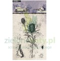 studio-light-natures-dream-2-clear-stamp-thistle-h.jpg