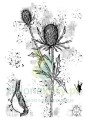 studio-light-natures-dream-2-clear-stamp-thistle-h (1).jpg