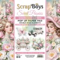 SB-SWPE-11-COVER.jpg
