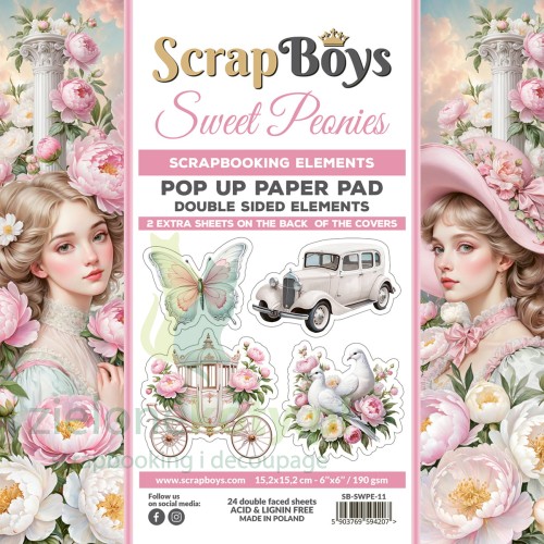 SB-SWPE-11-COVER.jpg