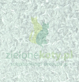 White glitz 2.PNG