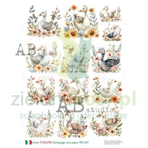 Papier ryżowy decoupage AB Studio Carte Italiano A4 gęś